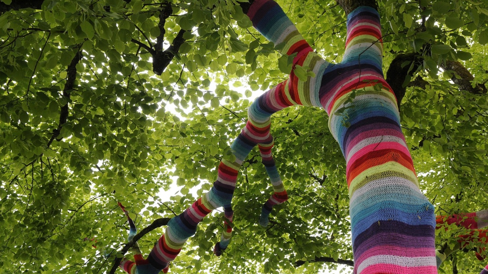 lake-constance-673103_1280