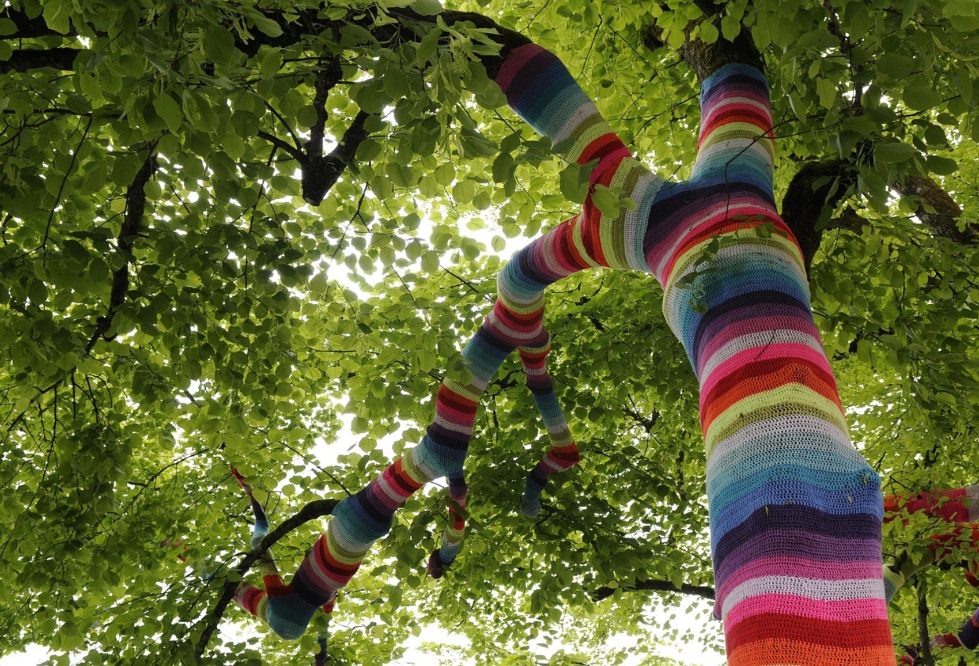 lake-constance-673103_1280